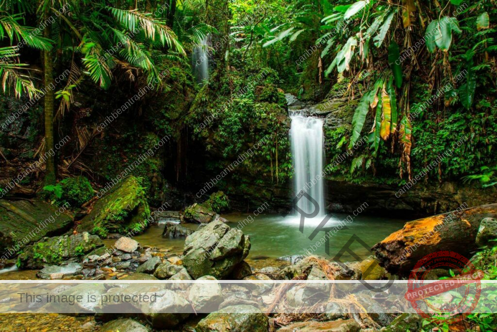 Source: https://www.princess.com/en-uk/blog/puerto-rico-waterfalls