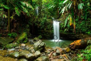 Source: https://www.princess.com/en-uk/blog/puerto-rico-waterfalls