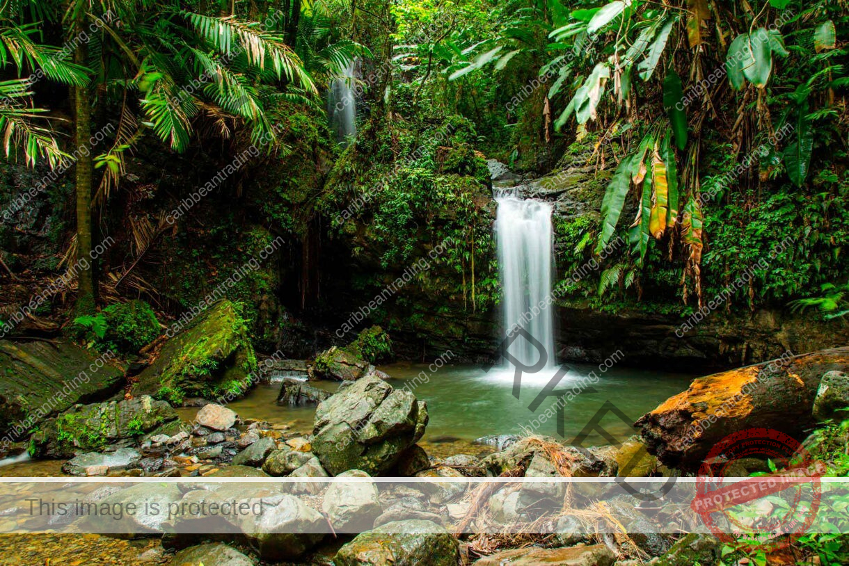 Source: https://www.princess.com/en-uk/blog/puerto-rico-waterfalls