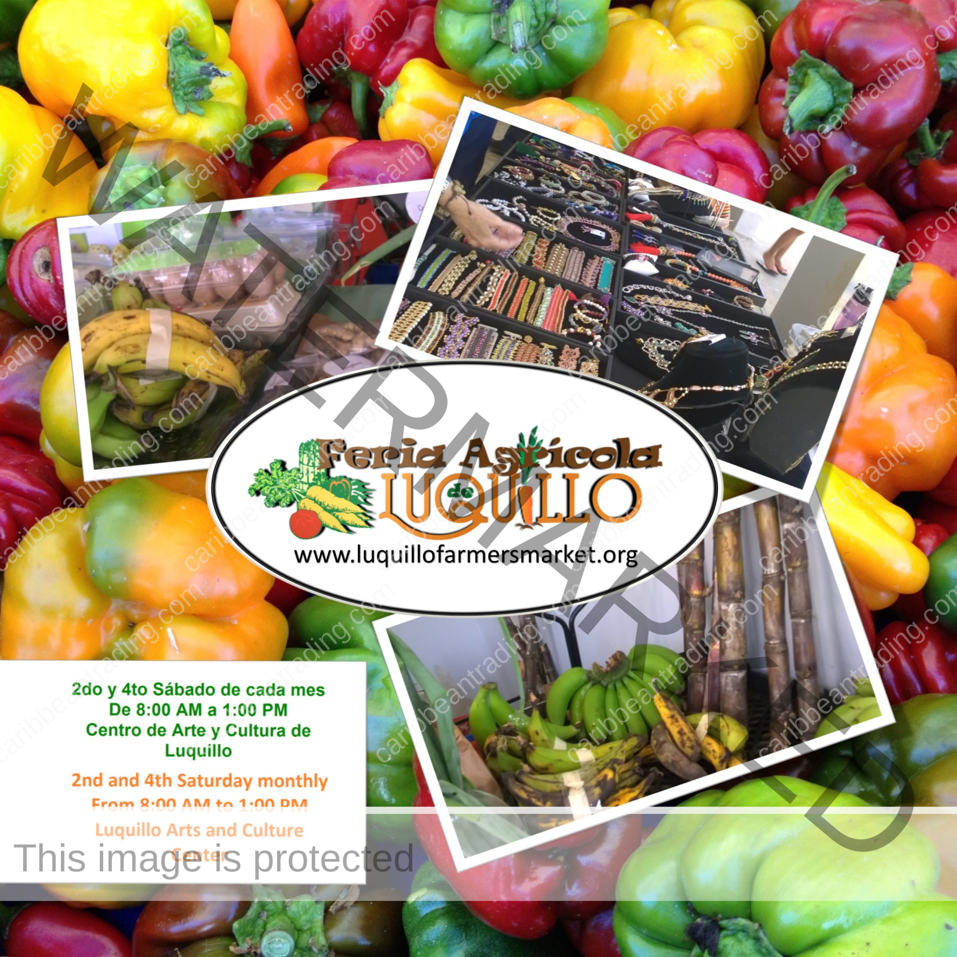 Visit the Luquillo Farmers Market in Luquillo Puerto Rico Travel News