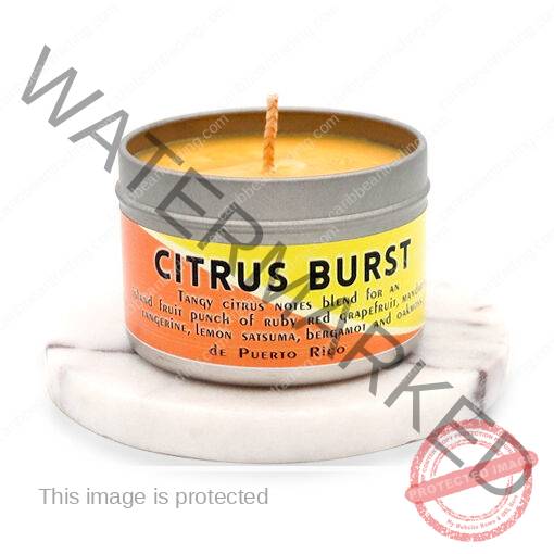 Citrus Burst 7oz. Travel Candle