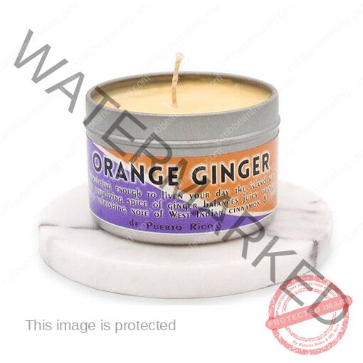 Orange Ginger 3oz. Travel Tin