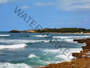 Arecibo Coast (3)