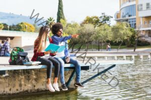 Best University Degrees