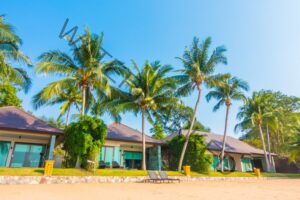 Caribbean Homes
