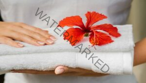 Caribbean Spa