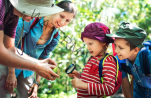 Family Adventure Awaits