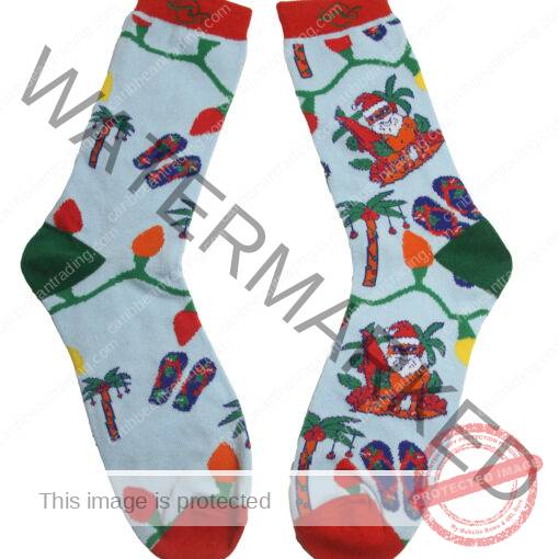 Tropical Socks Santa Claus