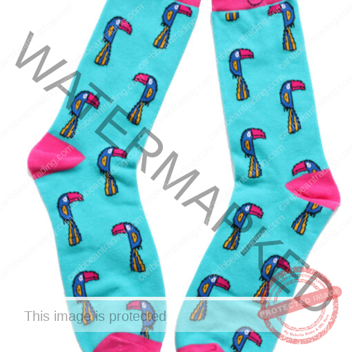 Tropical Socks Toucans
