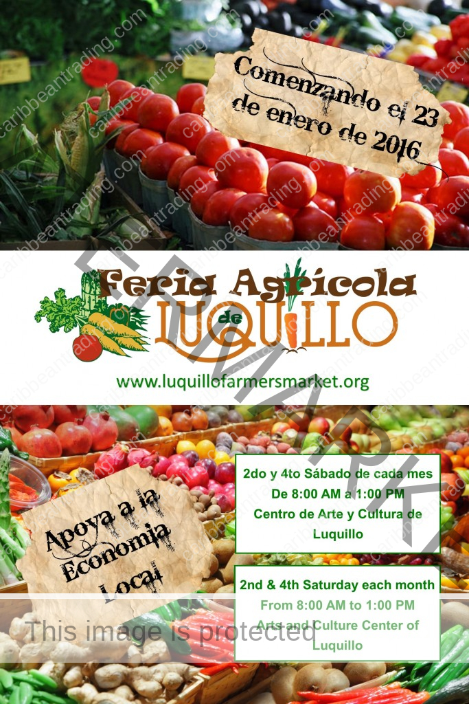 luquillo farmers market