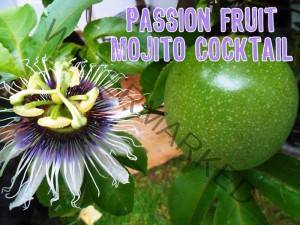 passion fruit mojito