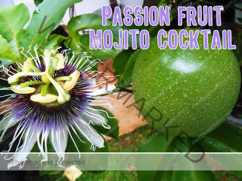 passion fruit mojito
