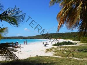 Vieques Beaches