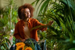 Sustainable Living Practices in the Caribbean