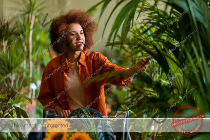 Sustainable Living Practices in the Caribbean