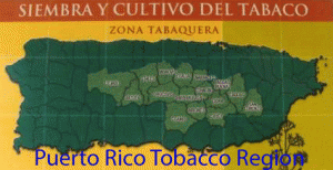 Tobacco Region