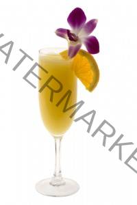 caribbean-trading-tropical-mimosas