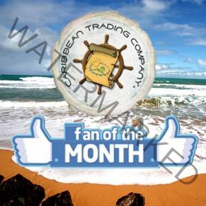 fan of the month