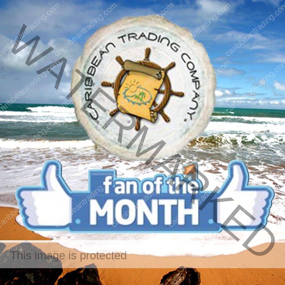 fan of the month