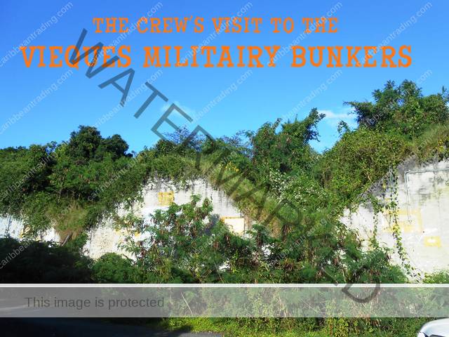 vieques bunkers