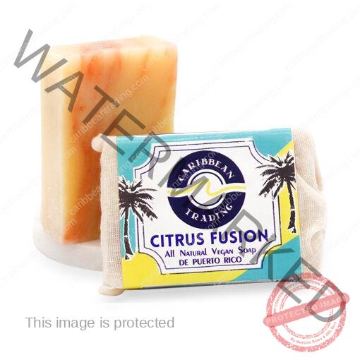 Citrus Fusion Handmade All Natural Vegan Aloe Soap