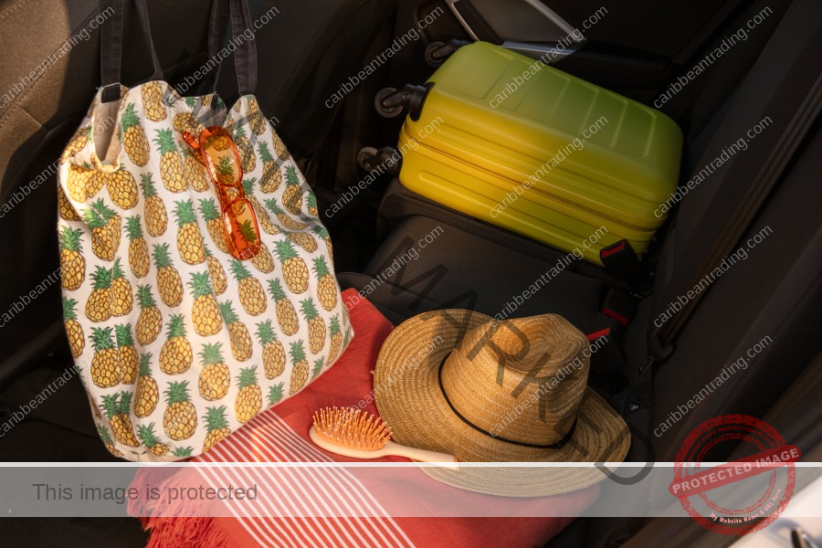 caribbean Print Bags