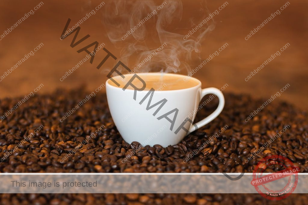 Puerto Rico's Café Tesoro del Sol Coffee Beans