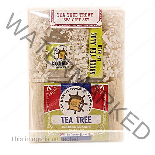 Tea Tree Treat Spa Gift Set