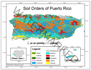 soils of puerto rico
