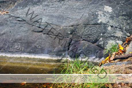 Taino Petroglyphs Puerto Rico