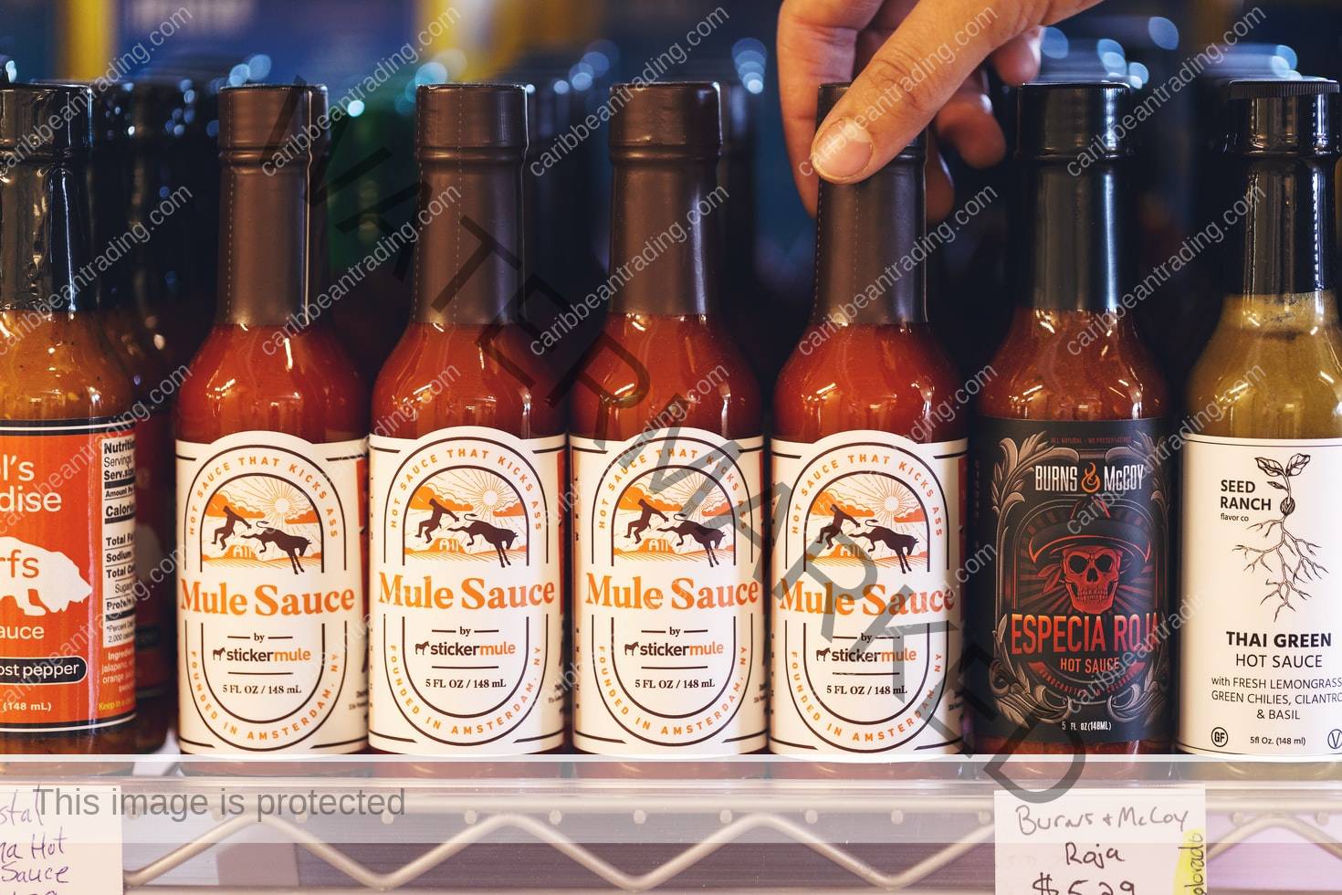 Widow Maker on Hot Ones S11! - Dingo Sauce Co